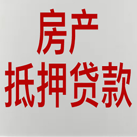 射阳贷款公司新渝启服推荐选择